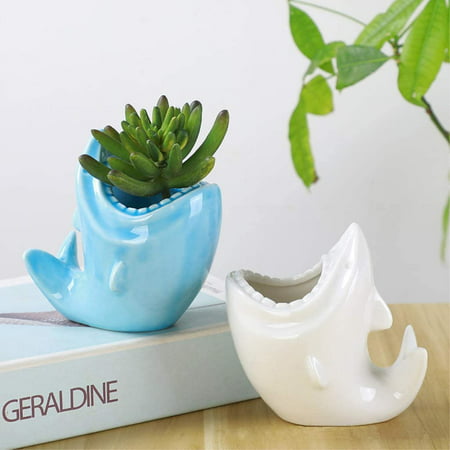 White Ceramic Cactus/Flower Container Animal Fish Bonsai Holder for Indoor Plants Gemseek Cute Shark Succulent Planter Pot with Drainage Tray 